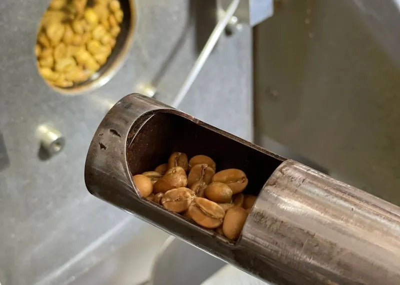 Röstprobe der Bohnen